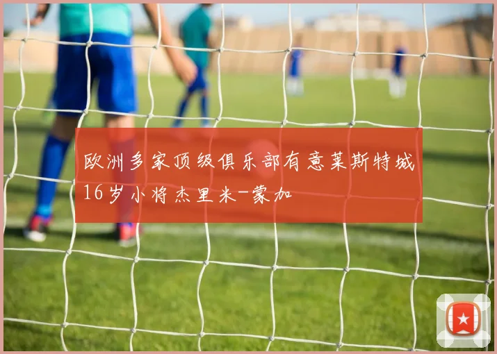 欧洲多家顶级俱乐部有意莱斯特城16岁小将杰里米-蒙加
